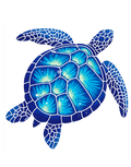 Sea Turtle
