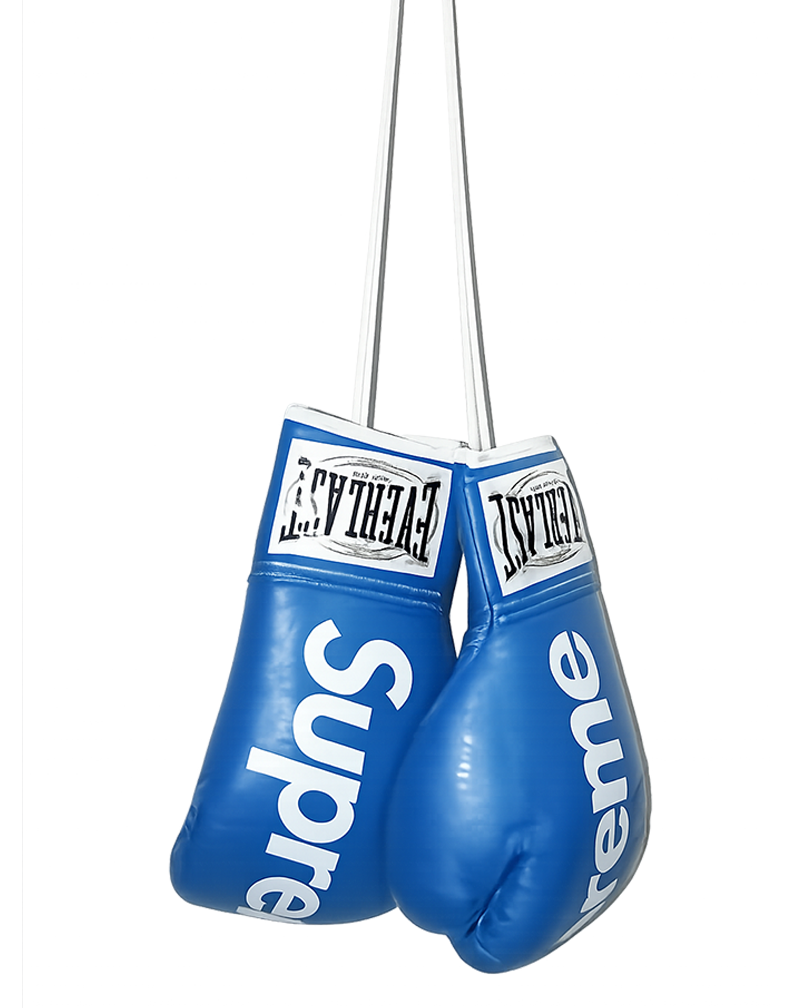 Supreme Boxing Gloves