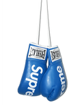 Supreme Boxing Gloves