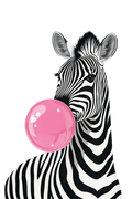 Zebra Bubble Gum